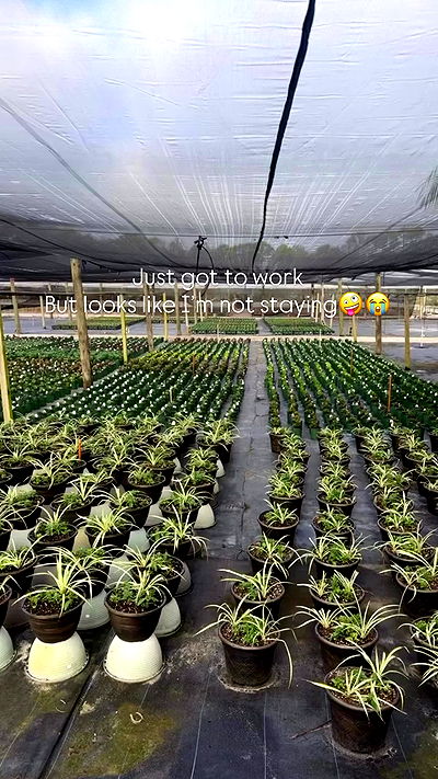 edin.karyn edin.karyn archive video