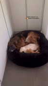 karin_orhov Altpins Profile Picture