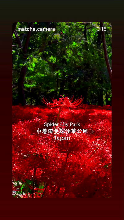 kasumi_sen kasumi_sen archive video