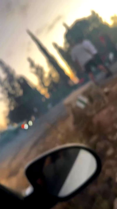 simp_for_cats_ simp_for_cats_ archive video