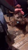 ellauk Altpins Profile Picture