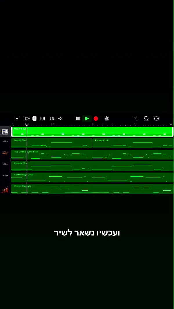 tami_shemesh archive video preview