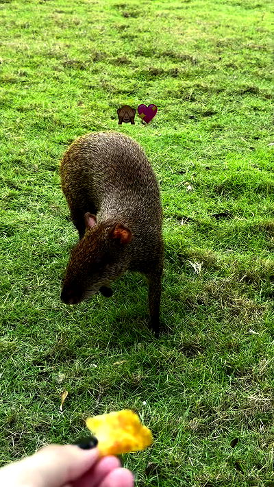 shunli__mei shunli__mei archive video