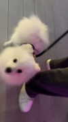 x_jendayi_x Altpins Profile Picture