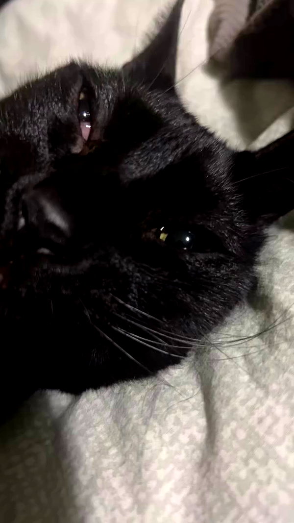 feelbetterinmysweater archive video preview