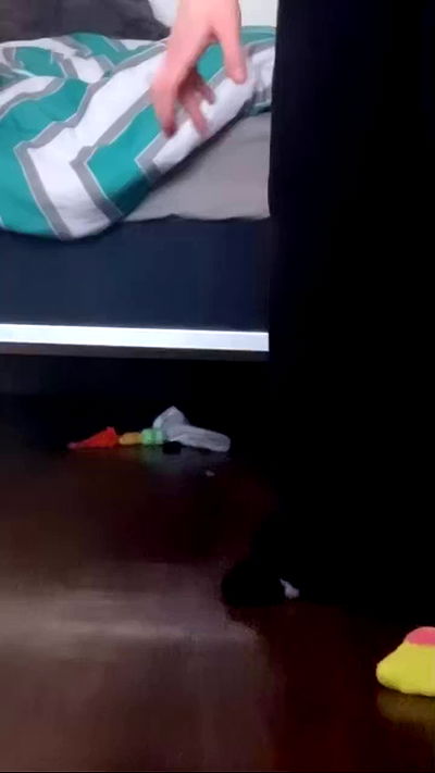 winbun.io winbun.io archive video