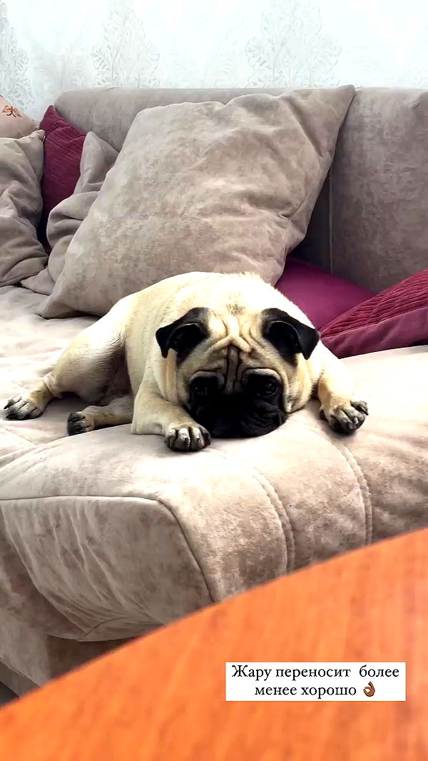 nyityam archive video preview