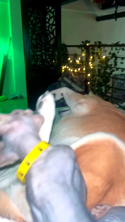 zommmbri zommmbri archive video