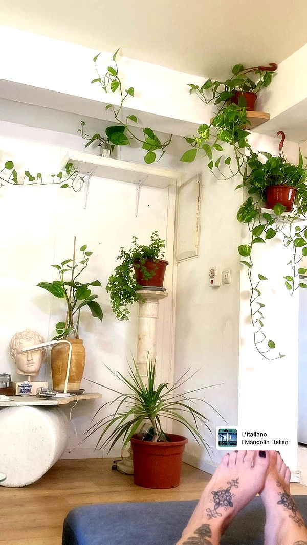 shanikaneko archive video preview