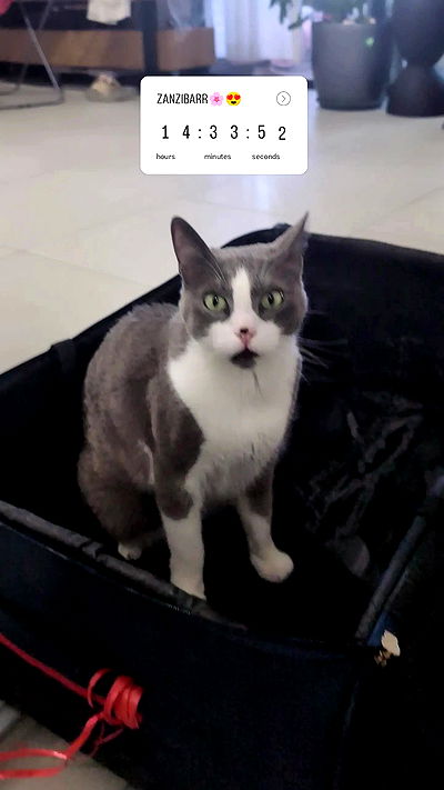 tinapavlov.sky tinapavlov.sky archive video