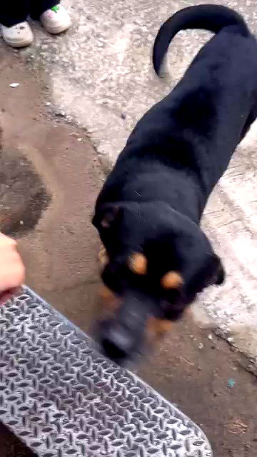 oqr0_ oqr0_ archive video