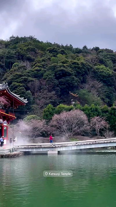 neomiconrad neomiconrad archive video