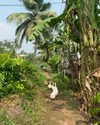 noa_mendel_ Altpins Profile Picture