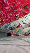 emelye.ender Altpins Profile Picture