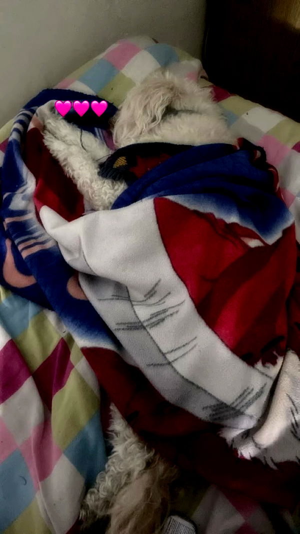 feelbetterinmysweater archive video preview