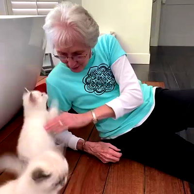 sabrinacarpenter sabrinacarpenter archive video