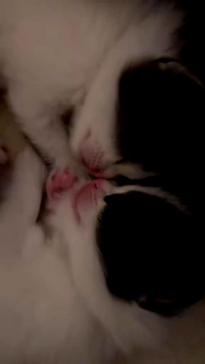 hellokittyangel666 hellokittyangel666 archive video