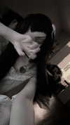 veildose Altpins Profile Picture