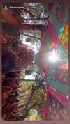 _lironatias Altpins Profile Picture
