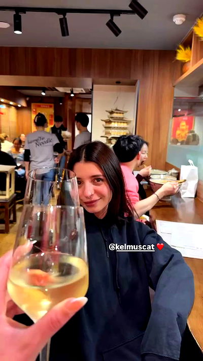 bakedsloths bakedsloths archive video