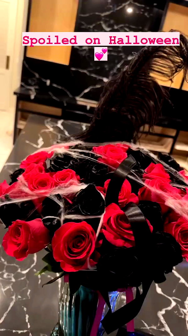 jailyneojeda archive video preview