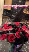 jailyneojeda Altpins Profile Picture