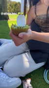eloise_wensley Altpins Profile Picture