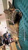 6a1it Altpins Profile Picture