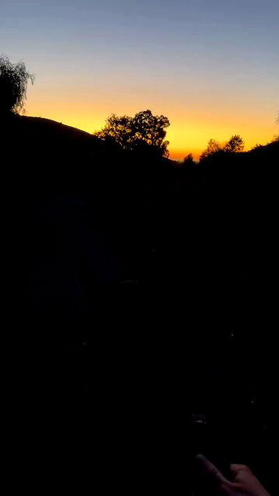 carolinezalog carolinezalog archive video