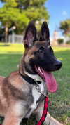 jasmine.soll Altpins Profile Picture