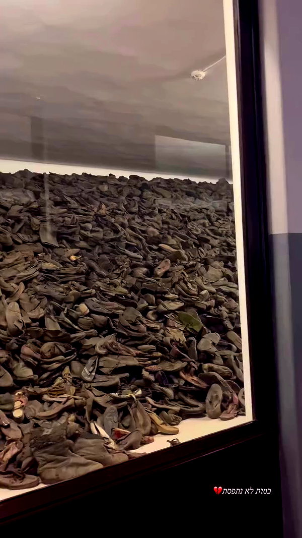 shirpeleg._ archive video preview