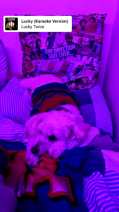 feelbetterinmysweater feelbetterinmysweater archive video