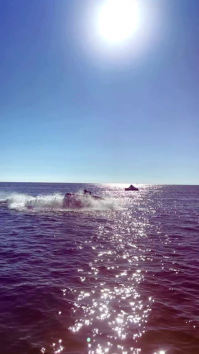 annfigma annfigma archive video