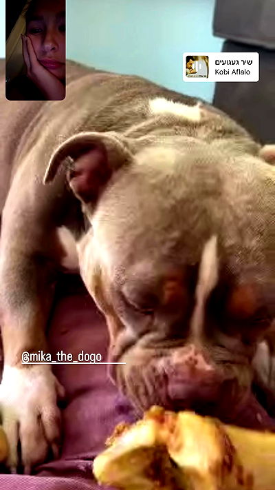 kesemgreenyer kesemgreenyer archive video