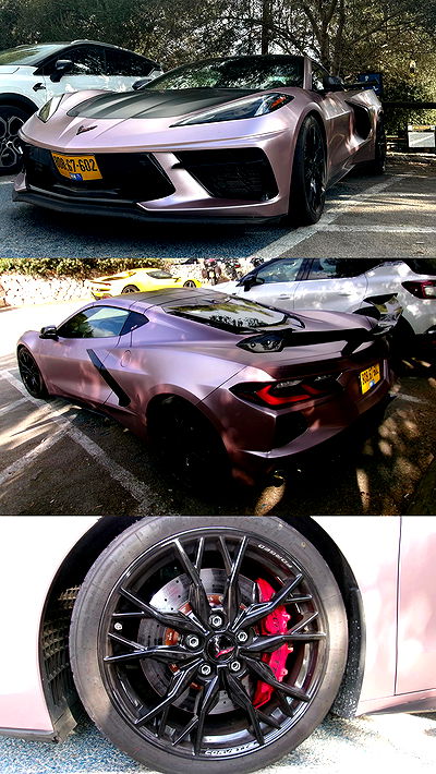 simp_for_cats_ simp_for_cats_ archive video