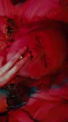 florenceros.e Altpins Profile Picture