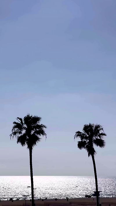 payton.r payton.r archive video