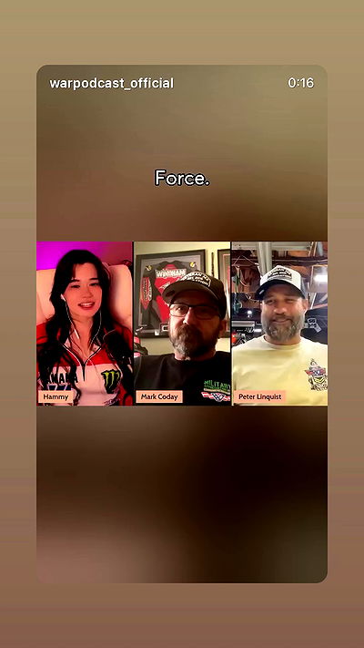 war_hamster6 war_hamster6 archive video