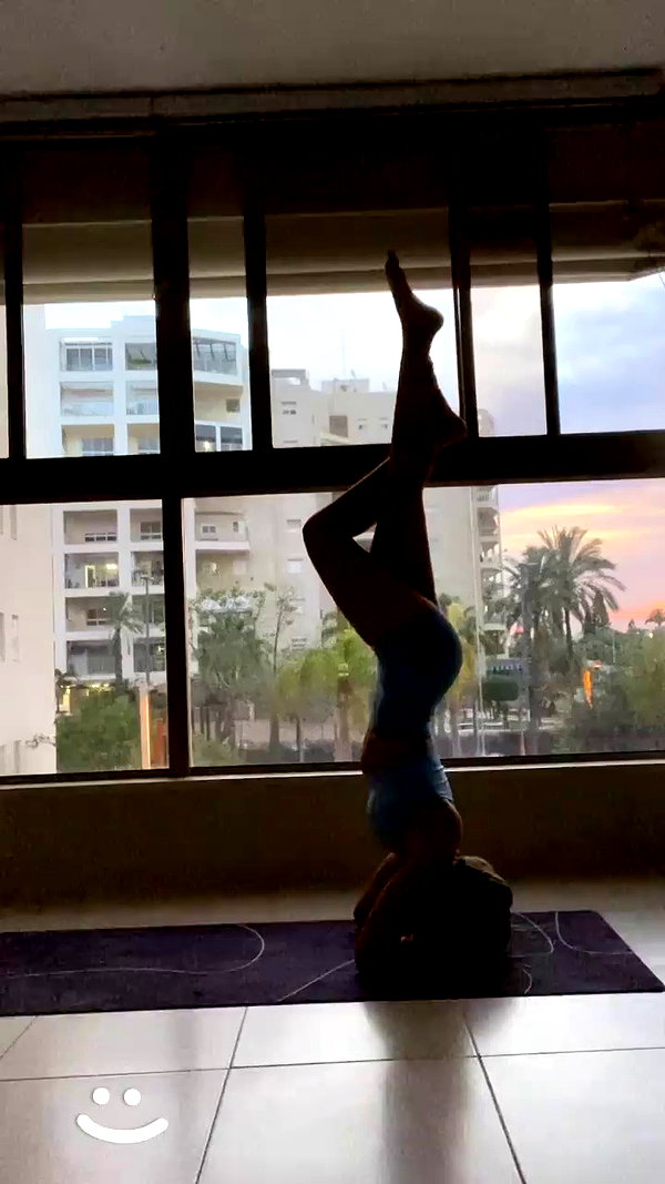 liad.arazi archive video preview