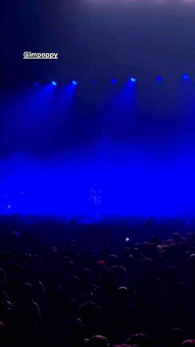 yam_adler yam_adler archive video