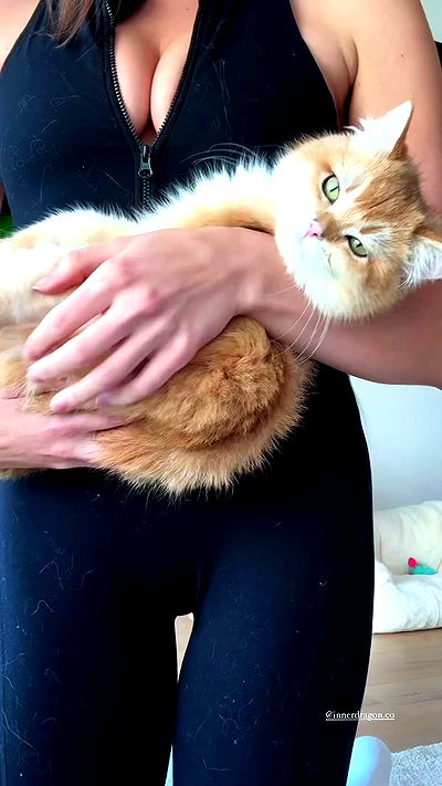 itsilanosh itsilanosh archive video