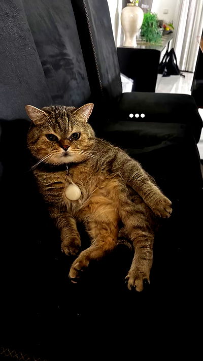 talya__edri talya__edri archive video