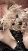 emily_g0d Altpins Profile Picture