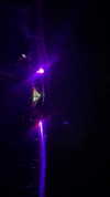 _lironatias Altpins Profile Picture