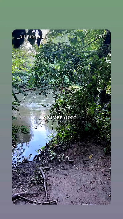 _animechika_ _animechika_ archive video