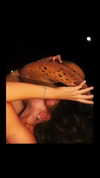 taesroy Altpins Profile Picture