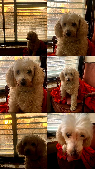 feelbetterinmysweater feelbetterinmysweater archive video