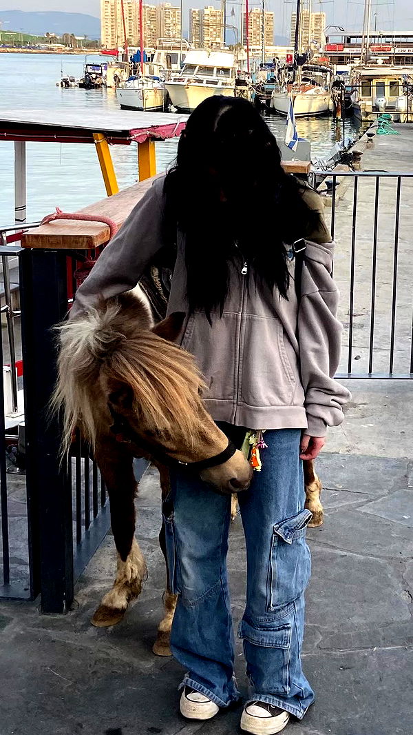 feelbetterinmysweater archive video preview