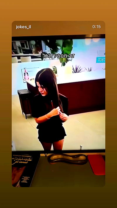 _lil_noa_ _lil_noa_ archive video