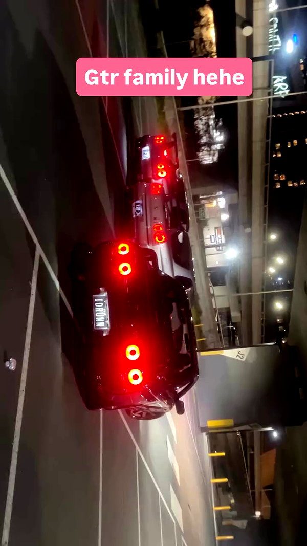 dinasaur_0_0_ archive video preview